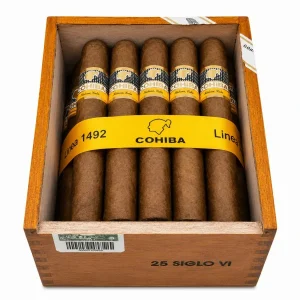 Siglo VI Box 25 Cohiba Cigars
