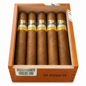 Siglo VI Box 10 Cohiba Cigars
