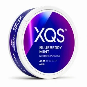 XQS Blueberry Mint 4mg Nicotine Pouch